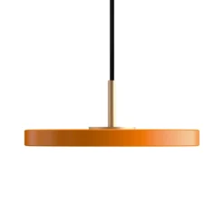 Asteria micro pendel