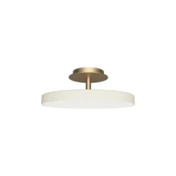 Asteria Plus medium