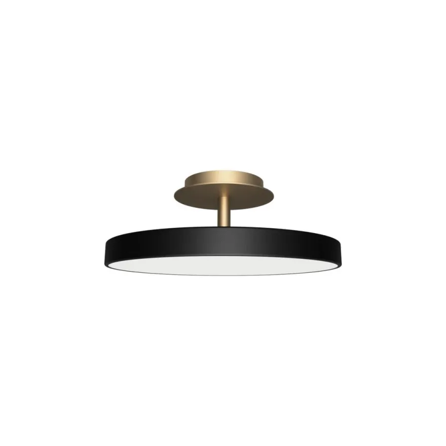Asteria Plus medium