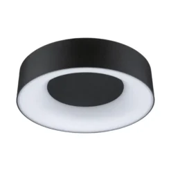 Casca taklampe 30 cm 16W IP44 3000-6500 Kelvin 1500 lumen- 3-step moodmaker