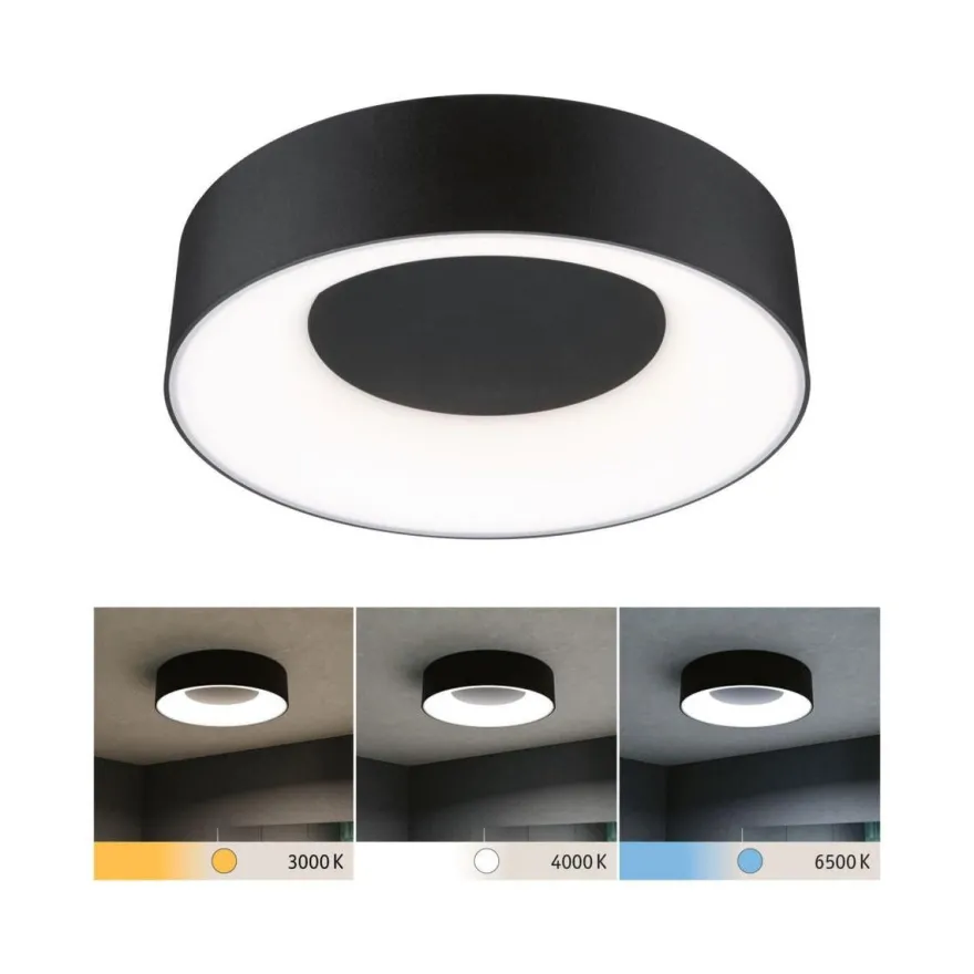Casca taklampe 30 cm 16W IP44 3000-6500 Kelvin 1500 lumen- 3-step moodmaker
