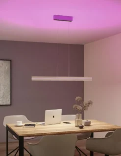 Raiko takpendel 19/6W 2700-6500 Kelvin RGB med fjernkontroll