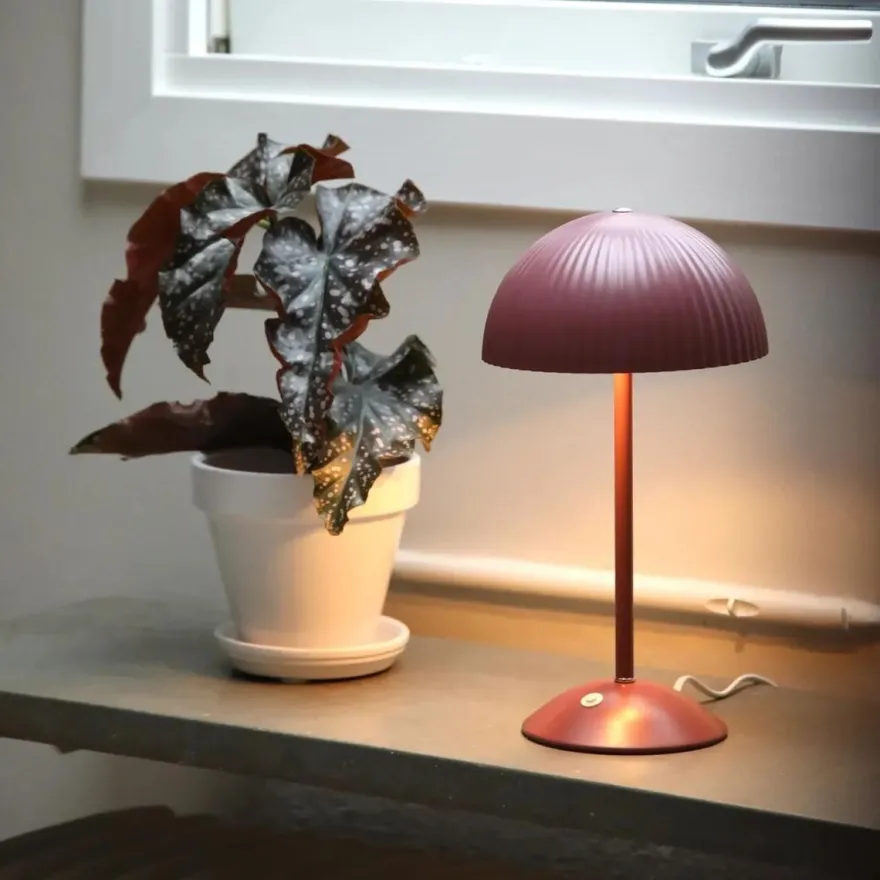 Zin bordlampe